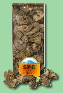 Dried Morel