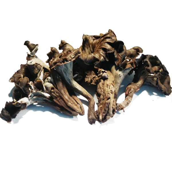Black chanterelle